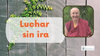 Luchar sin ira