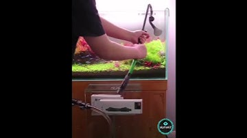 Thumbnail of QANVEE Inline CO2 Atomizer Diffuser M1 12mm M2 16mm Aquarium Planted Tanks Aquascape Freshwater