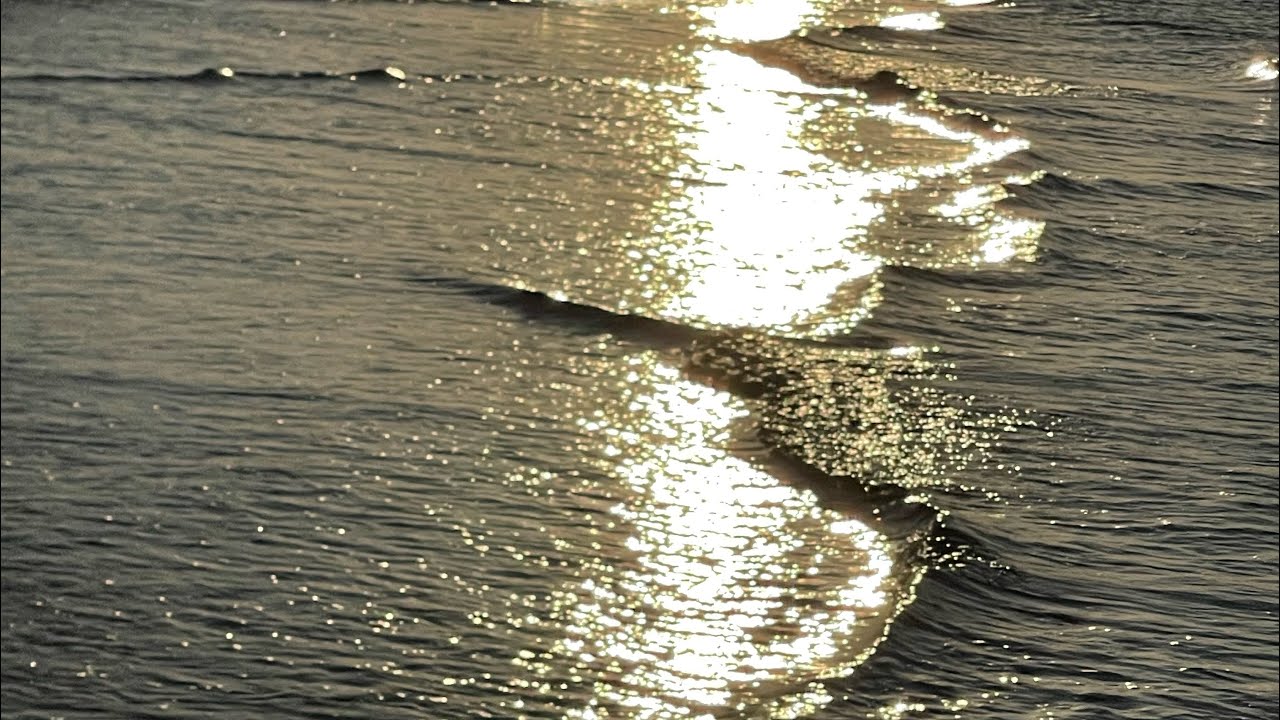 Generating 100% Returns Using the Wheel Trading Options Strategy