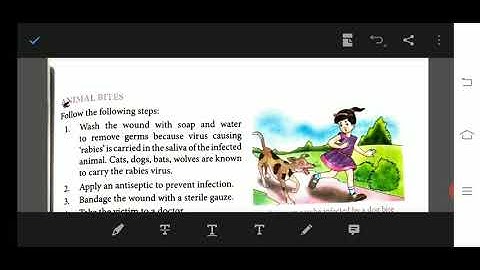 Class 5 science chapter 6 safety and first aid about Animals Bites