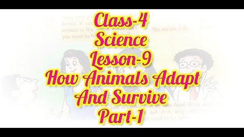 Class -4 | Science Lesson-9 How Animals Adapt and Survive | Part-1 | Adaptation and Habitat