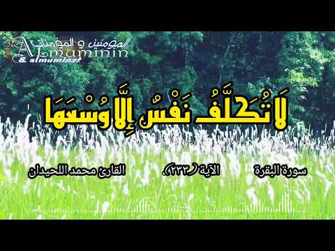 لا تكلف نفس إلا وسعها لا تضار والدة بولدها ولا مولود له بولده وعلى الوارث مثل ذلك فإن أرادا فصالا