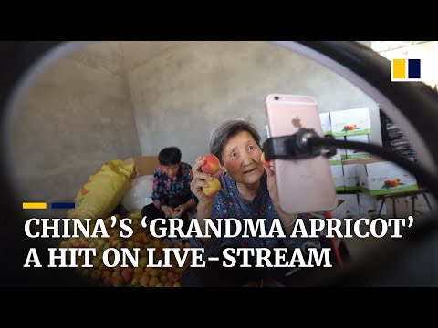 ‘Grandma Apricot’ finds online fame as she sells fruit on live streams from rural China