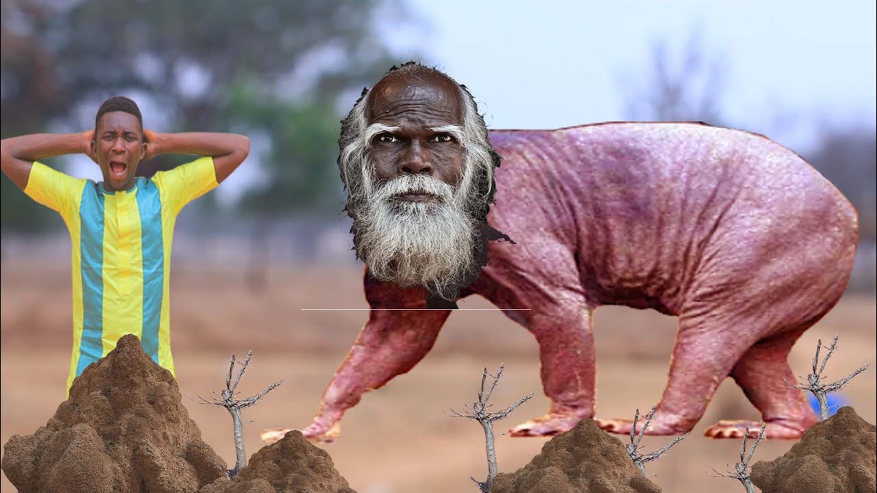 SAURAYIN ALJANA Episode 12