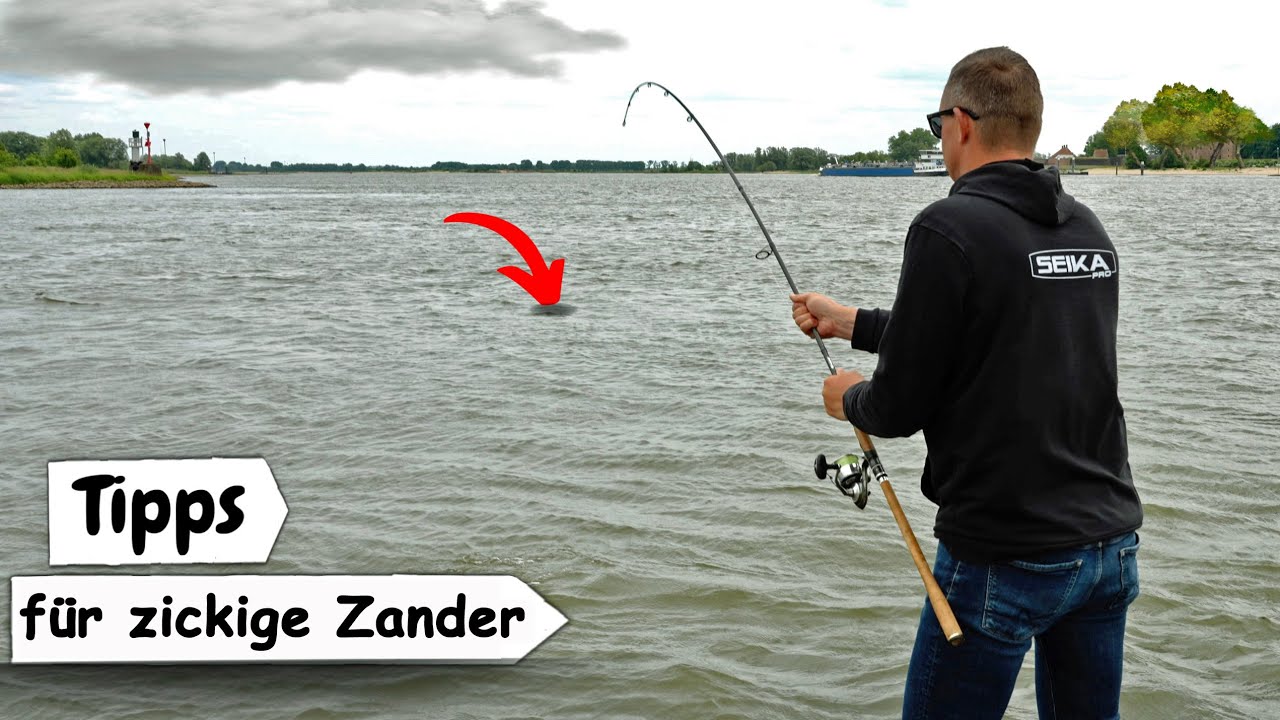 Zickige Zander zum Saisonstart? - So fängst Du trotzdem!