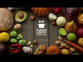 REEL FUEGO LENTO AUDIOVISUAL