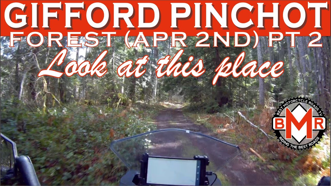 Gifford Pinchot Forest Rd 29 and Others PT 2 2022 KLR 650 YouTube