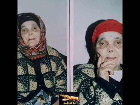 بقار حدة بين الويدان دمو سايح