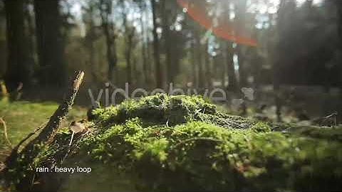 Rain | Motion Graphics - Envato elements