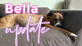 Making THE Call | Bella Update 21/2/2020