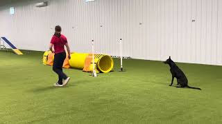 Kyber CPE Agility Level 1 Wildcard - NQ
