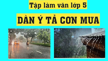 Dàn ý miêu tả cơn mưa - Tập làm văn 5