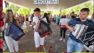 Picadinho da Eira 🪗Concertinas 🎈Monção 👍Juventude Portuguesa 🇵🇹Tradições de Portugal 👉Concertina