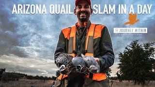 #markpeterson #thejourneywithin #wta mark and earl travel down to
southern arizona hunt a number of quail species. yesterday helped the
bord...