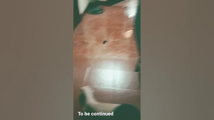 To be continued cae crash