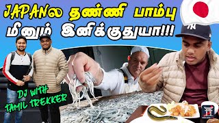 ?ஜப்பானின் பாரம்பரிய பாம்பு மீன் ??|@TamilTrekkerOfficial எல்லாமே இனிக்குது ? LIJ-தமிழ்