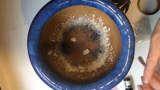 Making of Organmic Bubble