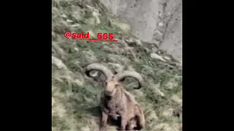 Дагестанский тур .