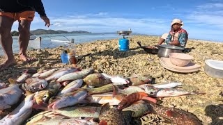 Download Lagu Kitang fishingAdventure Catch \u0026 Cook  MP3