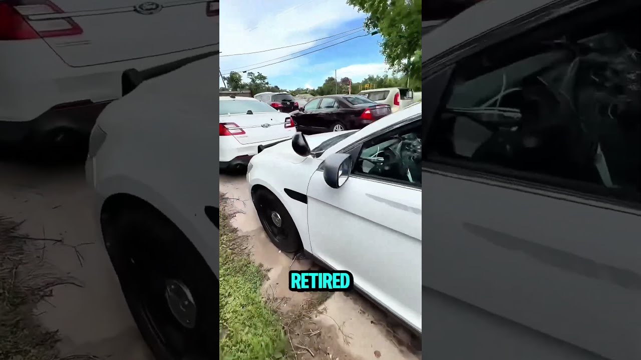 How Much Does A Retired Police Car Cost Shorts