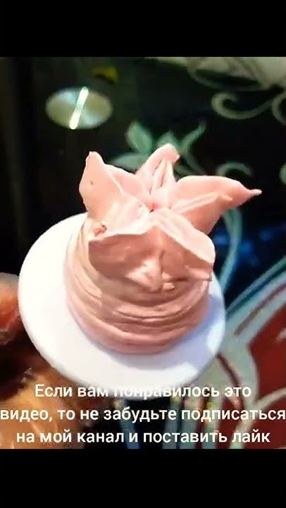 Роза Дэвида Остина из БЗК - YouTube