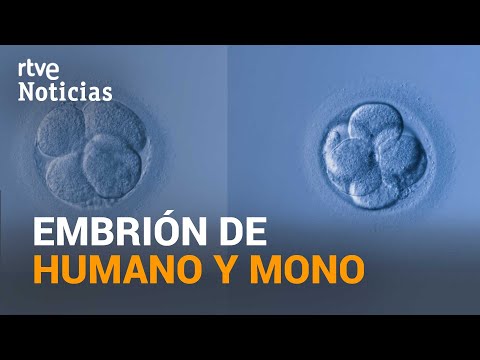 Vídeo: Los Científicos Han Creado Biobaterías A Partir De Células Humanas - Vista Alternativa