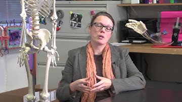 Dremel 3D Idea Builder Education Testimonials