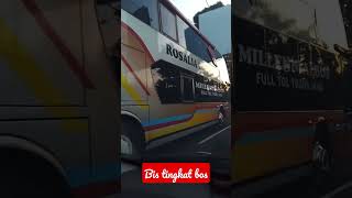 Bis Rosalia Indah bos bis tingkat ban 10 mantul #vidioshort #short #bismania #bismania screenshot 5