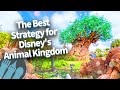 Top Tips for a Perfect Day at Disney's Animal Kingdom 🐾