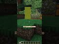 Come Creare Un Waypoint Su Minecraft...