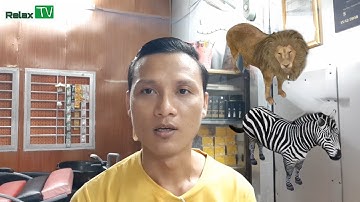 Hướng dẫn sử dụng ANIMAL 4D trên điện thoại | Relax TV