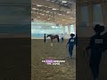 Let’s go over some common maneuvers you might see in the showmanship #equestrian #horseriding