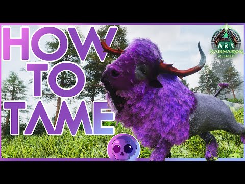 Everything You Need to Know About The Bison! | Ark Survival Ascended: Ragnarök