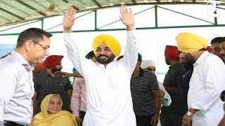 Sangrur: Punjab CM Bhagwant Mann visits native village Satauj to promote direct seeding of rice