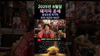 2025년 양력8월달 돼지띠운세!! 주식 부동산 직장인 대 이동이 시작됩니다!! 돼지띠운세#돼지띠사주#신점#…