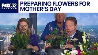 Des Plaines garden center prepares flowers for Mother's Day
