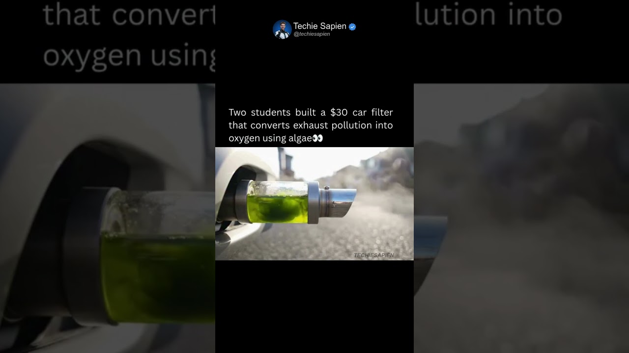Teenagers Built a $30 Algae Bioreactor That Converts Car Exhaust Into Oxygen 🌿🤯