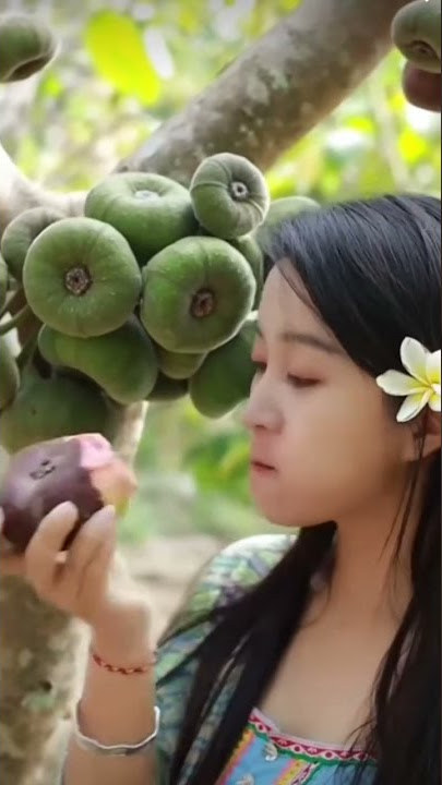 Farm Fresh Ninja fruit Cutting | OddIy Satisfying Fruit Ninja#04