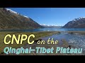 CNPC on the Qinghai-Tibet Plateau