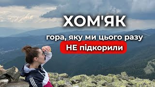 картинка: Хом’як, чому цього разу ми не дійшли 🏔️
