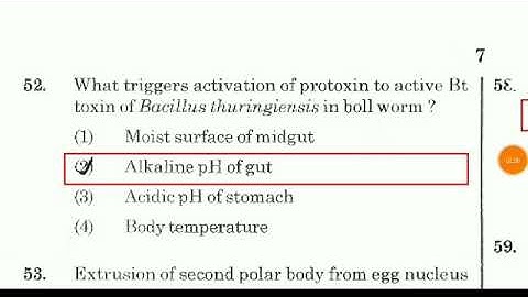 NEET 2019 Answer key || question paper with answers