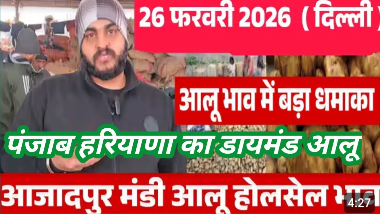 26 फरवरी दिल्ली# आजादपुर मंडी#पंजाब हरियाणा का डायमंड #🥔🥔🥔आलू का भाव आज क्या रहा#Aalu pateto