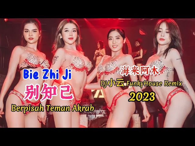 海来阿木 - 别知己 - Bie Zhi Ji - (Dj小云 FunkyHouse Remix 2023) - Berpisah Teman Akrab #dj抖音版2023 class=