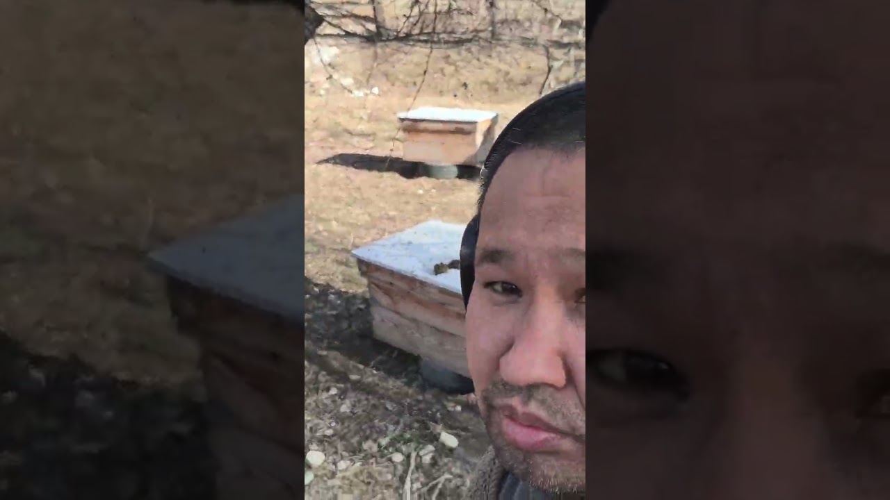 19 февраля 2026 г.