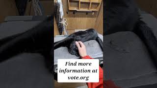Did you remember to take the day off for November 3 2026 midterm elections