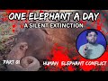 ONE ELEPHANT A DAYA SILENT EXTINCTION