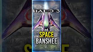 Halo 3 Mod adds SPACE BANSHEE to the game! #halo #halomcc #halomods
The Space Banshee from Halo Reach is now finally in Halo 3 as a full-detail vehicle! Halo 3 Mod adds SPACE BANSHEE to the game! #halo #halomcc #halomods