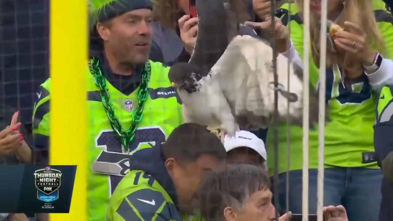 Seahawk LANDS ON FAN at Seahawks Game! 🤯 Rams vs Seahawks NFL Week 5 Highlights YouTube