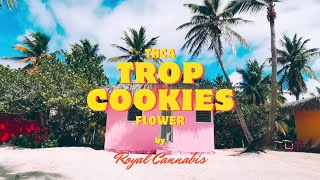 Trop Cookies THCA Flower Smalls