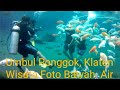 Umbul Ponggok, Klaten - Wisata Foto di Dalam Air bersama  Ribuan Ikan - Ikan.